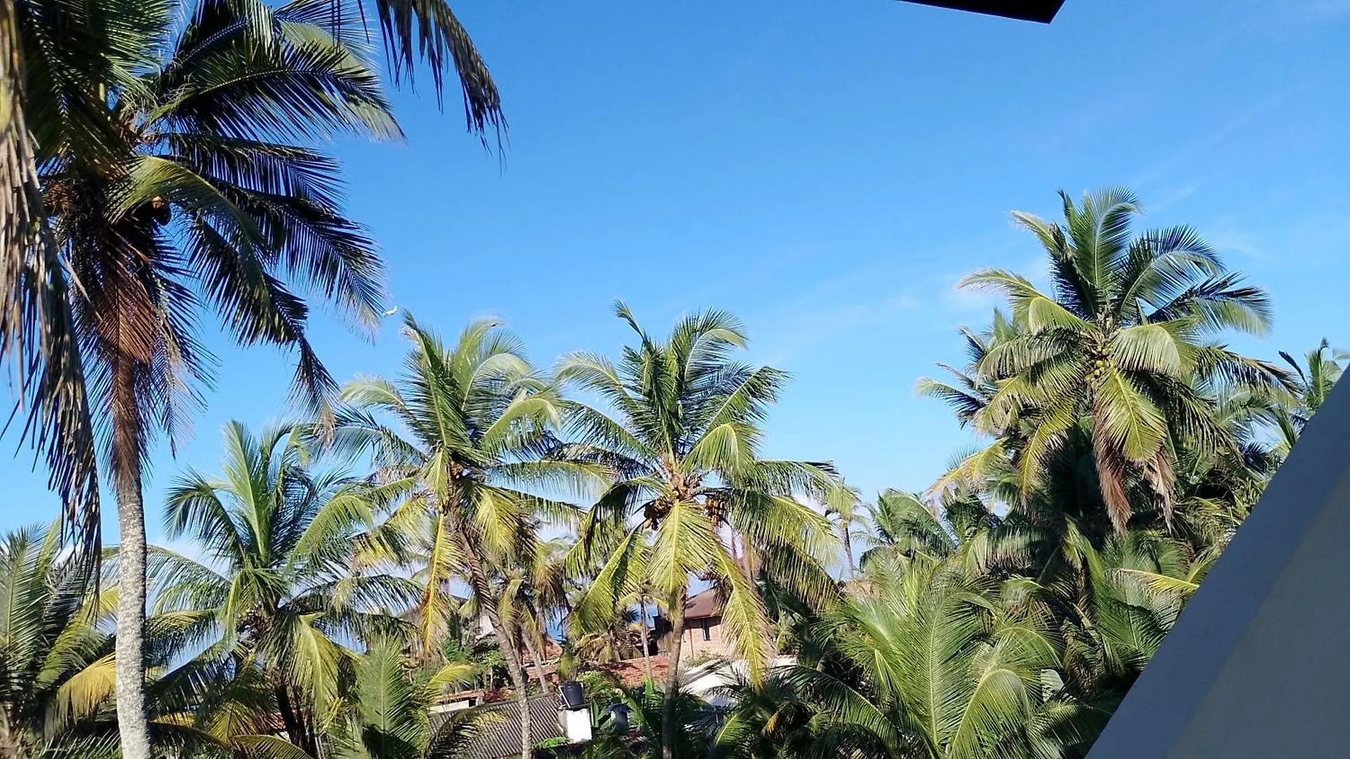 Ro Rich Hotel Negombo 0*,